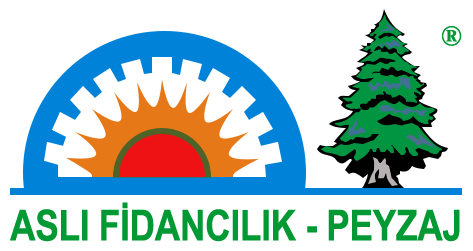 Aslı Fidancılık Peyzaj - Denizli 